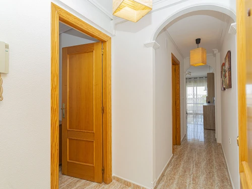 Apartamento Torrevieja, La Mata, 1 dormitorio, 4 personas - photo_1011865444564