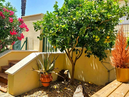 Ferienhaus Ayamonte, 2 Schlafzimmer, 4 Personen - photo_1011865447134