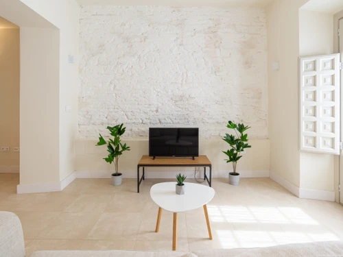 Apartment Málaga, 1 bedroom, 4 persons - photo_1011865486759