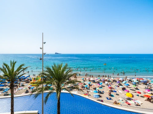 Apartment Benidorm, 2 bedrooms, 6 persons - photo_1011865501821