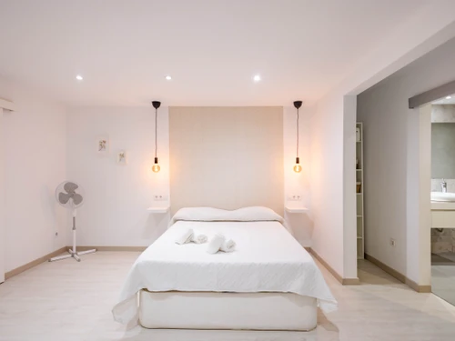 Apartment Las Palmas de Gran Canaria, 1 bedroom, 4 persons - photo_1011865504413