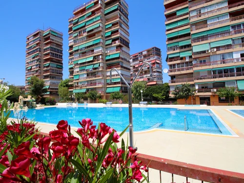 Apartment Alicante, 2 bedrooms, 4 persons - photo_1011865505745