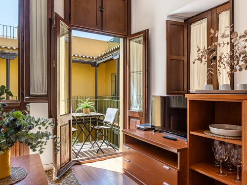 Apartment Seville, 1 bedroom, 2 persons - photo_1011865507221