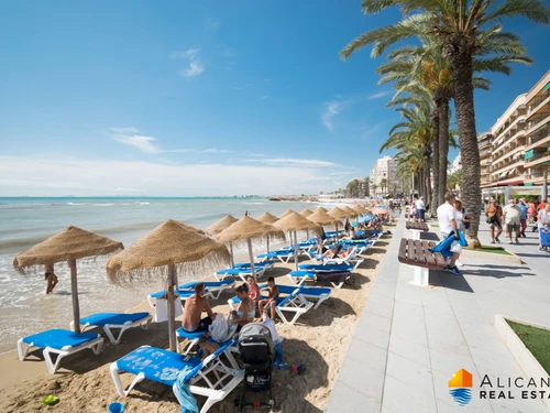 Apartamento Torrevieja, 3 dormitorios, 6 personas - photo_1011865537370
