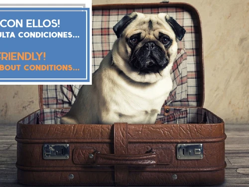 Ferienwohnung Cádiz, 2 Schlafzimmer, 3 Personen - photo_1011865541296