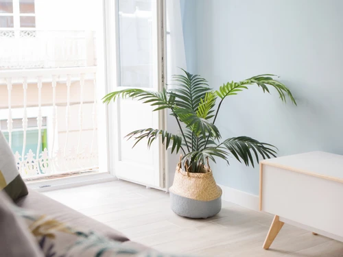 Ferienwohnung Cádiz, 1 Schlafzimmer, 4 Personen - photo_1011865601536