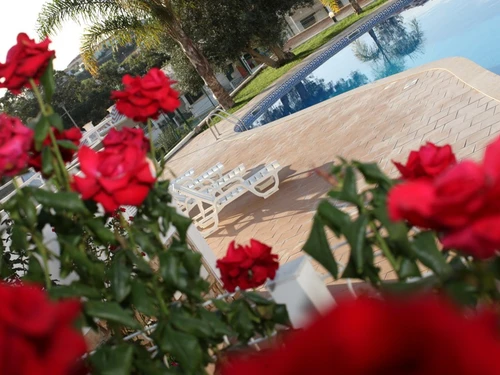 Gîte Albufeira, 3 pièces, 6 personnes - photo_1011865641619