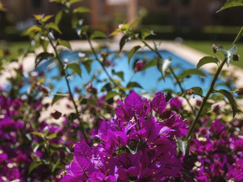 Apartment Xàbia, 3 bedrooms, 6 persons - photo_1011865661789