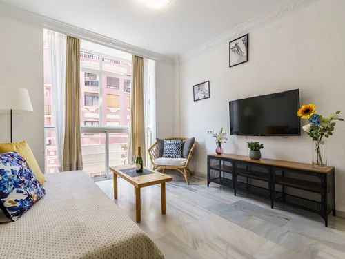 Apartment Málaga, 2 bedrooms, 4 persons - photo_1011865684976