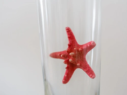 Ferienwohnung Cádiz, 2 Schlafzimmer, 5 Personen - photo_1011865692977