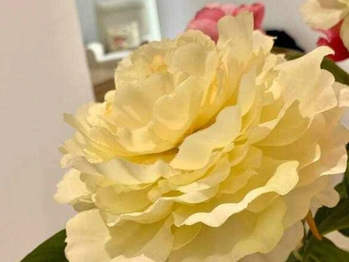 Appartement Cadix, 3 pièces, 4 personnes - photo_1011865697835