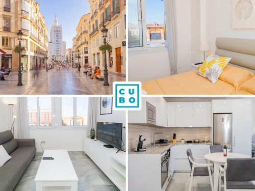 Ferienwohnung Málaga, 1 Schlafzimmer, 4 Personen - photo_1011865715803