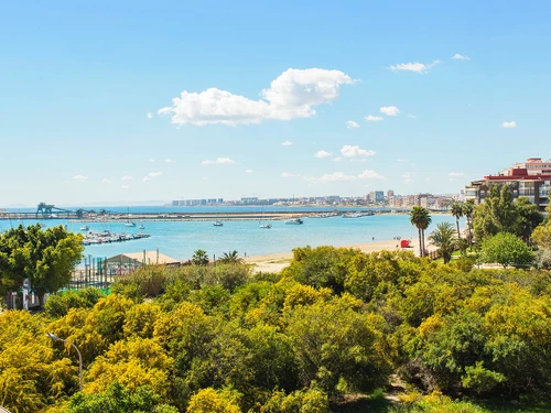 Apartment Torrevieja, 3 bedrooms, 5 persons - photo_1011865717334
