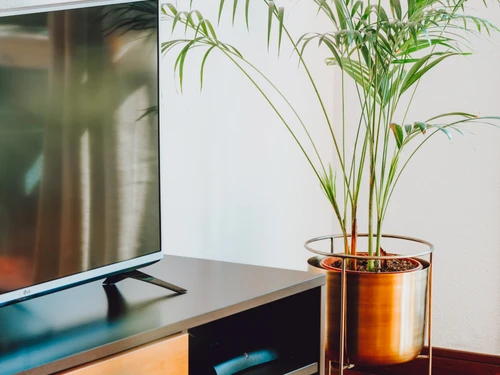 Appartement Funchal, 4 pièces, 5 personnes - photo_1011865728140