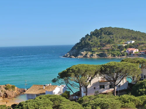 Studio Palamós, 1 pièce, 2 personnes - photo_1011865729772