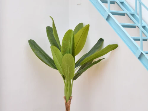 Gasthaus Moncófar, 2 Schlafzimmer, 6 Personen - photo_1011865740131