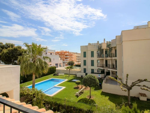 Apartment Alcossebre, 1 bedroom, 4 persons - photo_1011865742619