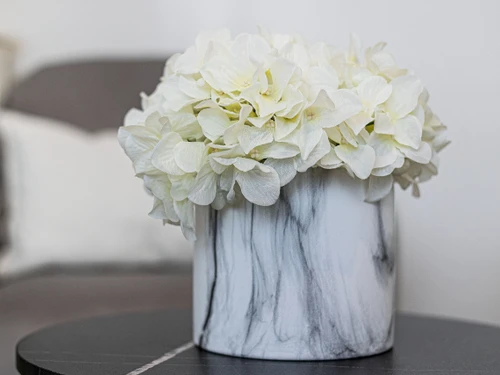 Ferienhaus Lagos, 2 Schlafzimmer, 4 Personen - photo_1011865758505