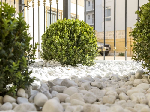 Ferienwohnung Gandía, 2 Schlafzimmer, 4 Personen - photo_1011865760977