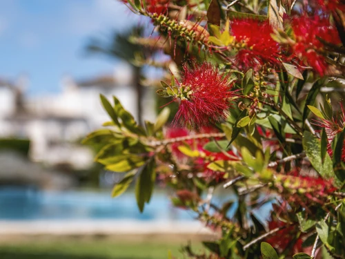 Ferienwohnung Xàbia, 3 Schlafzimmer, 5 Personen - photo_1011865822170