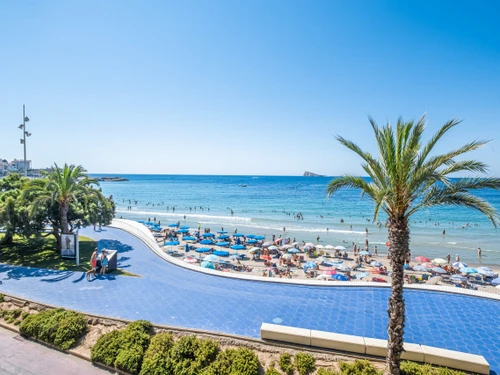 Ferienwohnung Benidorm, 1 Schlafzimmer, 4 Personen - photo_1011865861084