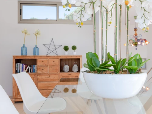 Villa Alcanada, 5 pièces, 1 personne - photo_1011865862585