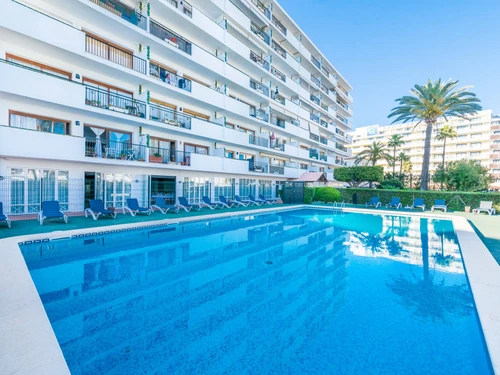 Apartment Alcúdia, 1 bedroom, 2 persons - photo_1011865878000