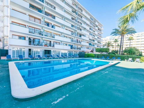 Apartment Alcúdia, 1 bedroom, 2 persons - photo_1011865878000