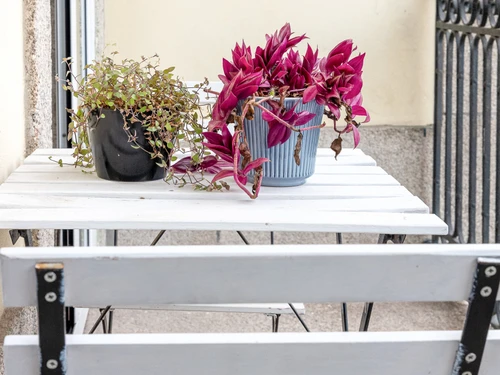 Studio Porto, 1 Schlafzimmer, 3 Personen - photo_1011865886386