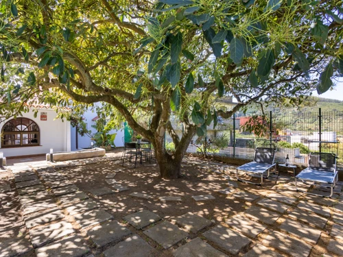 Gite Tegueste, 4 bedrooms, 8 persons - photo_1011865895092