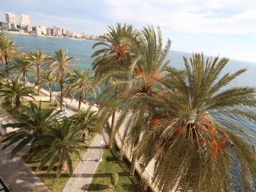 Ferienwohnung Alicante, 2 Schlafzimmer, 5 Personen - photo_1011865932571