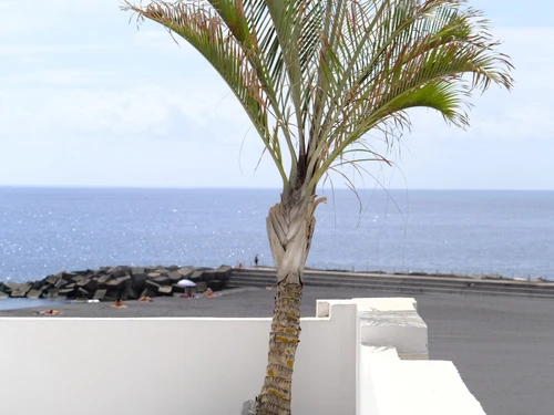 Casa Santa Cruz de la Palma, 3 dormitorios, 6 personas - photo_1011865993509