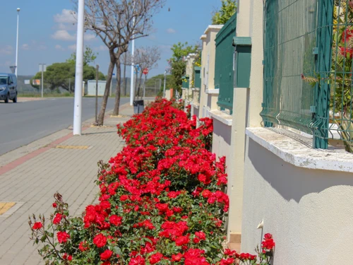 Ferienhaus Ayamonte, 3 Schlafzimmer, 6 Personen - photo_1011866000905