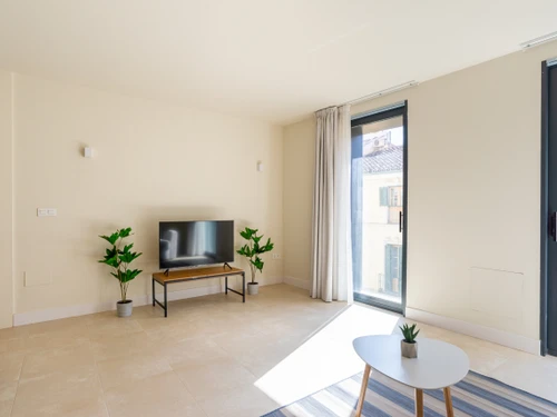 Apartment Málaga, 2 bedrooms, 6 persons - photo_1011866045596