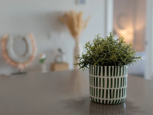 Apartment Isla Canela, 2 bedrooms, 4 persons - photo_1011866067859