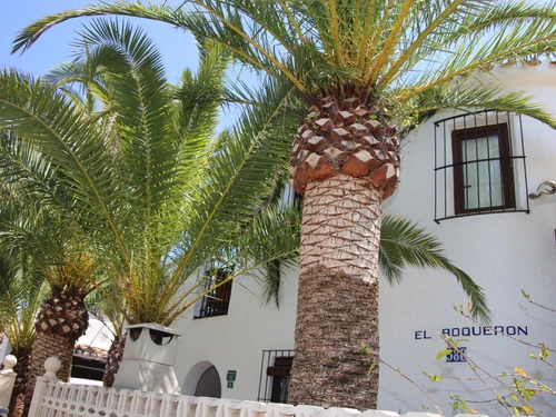 Villa Denia, 4 pièces, 6 personnes - photo_1011866085897