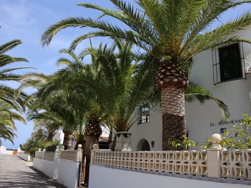 Villa Denia, 3 dormitorios, 6 personas - photo_1011866085897