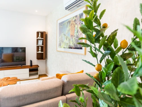 Appartement Funchal, 3 pièces, 6 personnes - photo_1011866109276