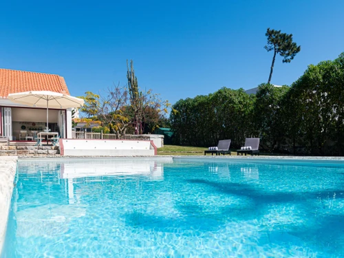 Villa Sintra, 2 pièces, 2 personnes - photo_1011866154211