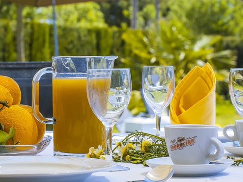 Gîte Lloseta, 4 pièces, 6 personnes - photo_1011866159450