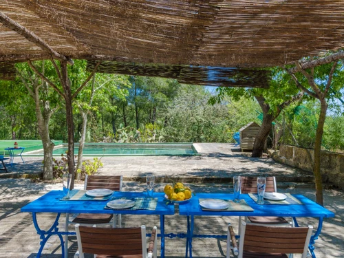 Maison Petra, 3 pièces, 4 personnes - photo_1011866173599