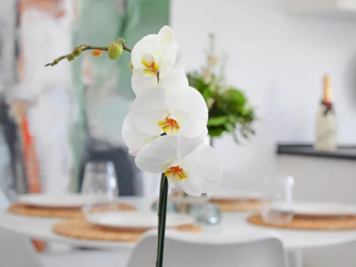 Villa Mijas, 2 bedrooms, 4 persons - photo_1011866179421