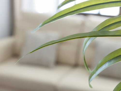 Ferienwohnung Gandía, 3 Schlafzimmer, 6 Personen - photo_1011866180852