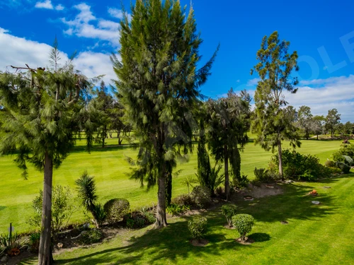 Ferienwohnung Portimão, 2 Schlafzimmer, 4 Personen - photo_1011866181138