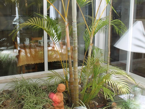 Villa Albufeira, 3 Schlafzimmer, 7 Personen - photo_1011866204593