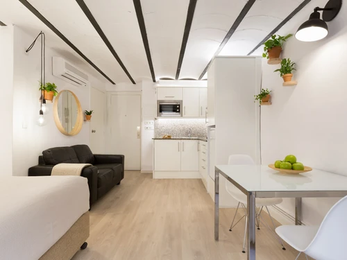 Studio Barcelone, 1 pièce, 2 personnes - photo_1011866220768