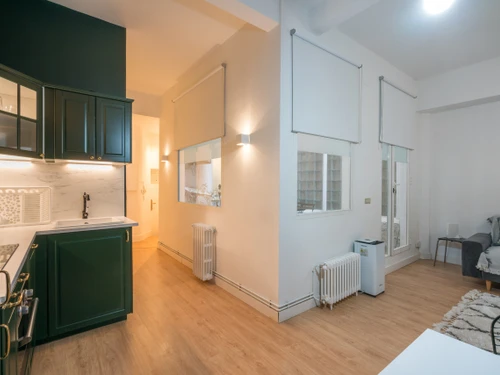 Apartment Bilbao, 1 bedroom, 2 persons - photo_1011866233705