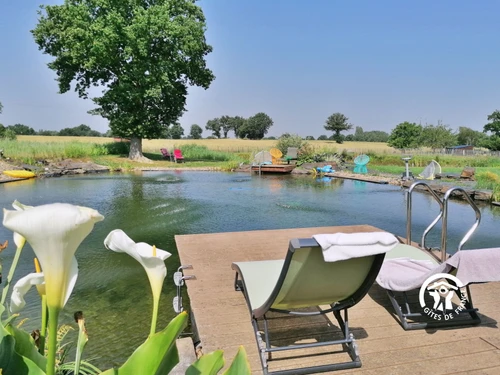 Gîte Niafles, 6 pièces, 10 personnes - photo_1011866283989