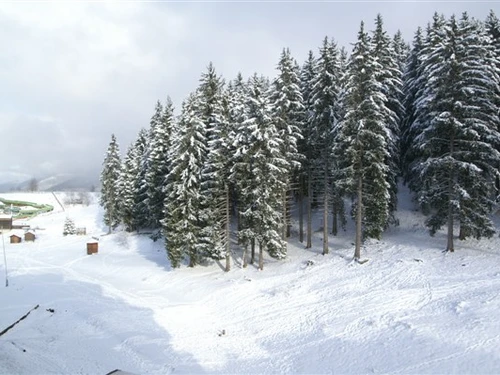 Appartement Les Adrets-Prapoutel, 1 pièce, 4 personnes - photo_14821542303