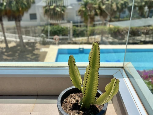 Apartamento Marbella, 3 dormitorios, 6 personas - photo_1011873477610